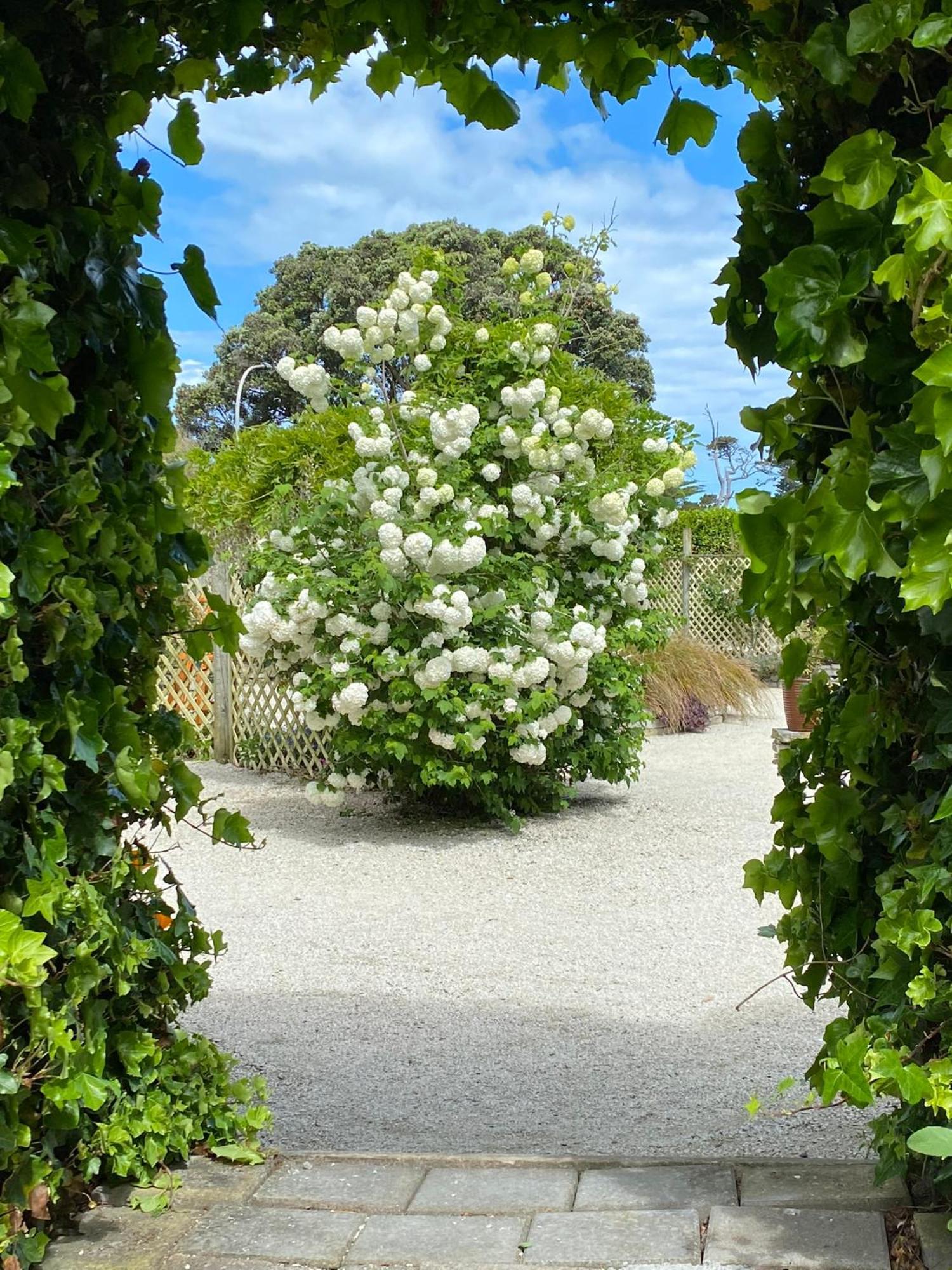 Glascroft Gardens - Bed & Breakfast Patea Exterior foto